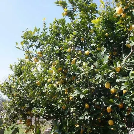 Serenita וילה