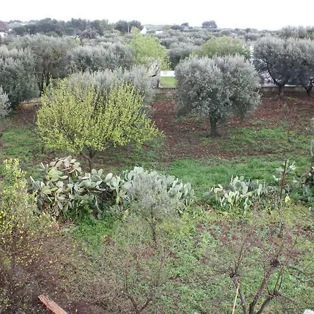 Villa Serenita Ostuni