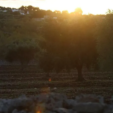 Serenita וילה